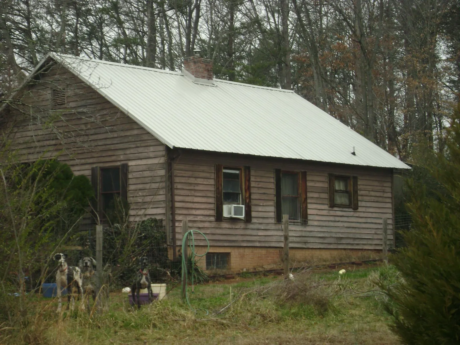 White metal roof on an old wood sided farmhouse, from a Asphalt Shingle Roof Repair job in Everett